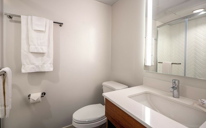 Hotel Holiday Inn New Orleans-downtown Superdome
