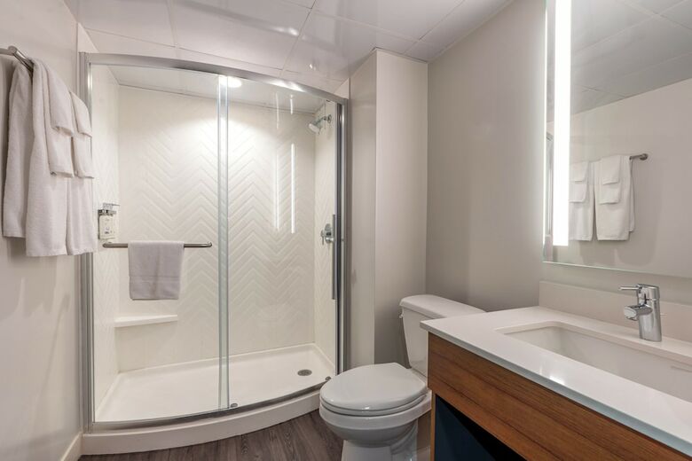 Hotel Holiday Inn New Orleans-downtown Superdome