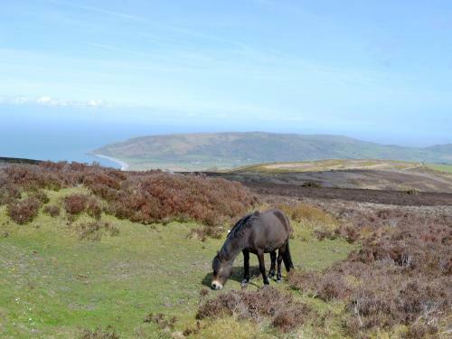 Exmoor View
