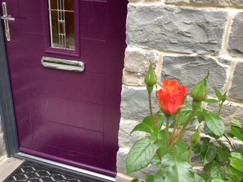 Hostal Little London Bed & Breakfast And Glamping Pod