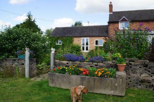 Apartamento Stag Cottage
