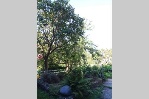 Apartamento Chez J�r�me B&B