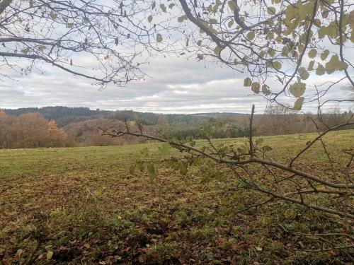 Apartamento Terrasse de Malmedy Studio 321