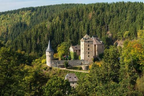 Le Grand Cerf 25 Pers, Malmedy- Chalet Rustique, Jardin