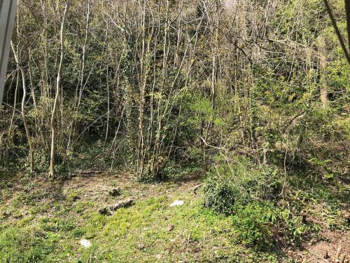 Symonds Yat - Herefordshire Property With Stunning Views