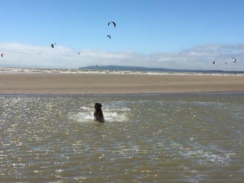 7 Coastguard Cottages, Jury?s Gap, Camber Sands