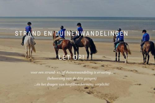 Villa Met Zicht Op Zee - In de Duinen - Oostduinkerke