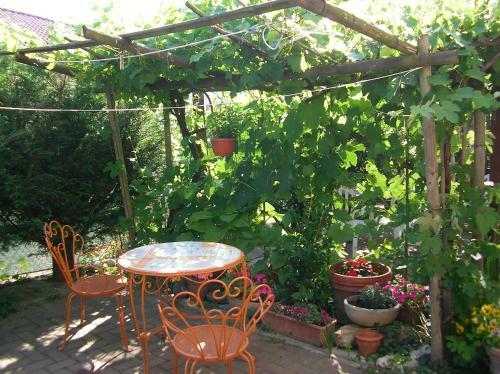 Bed & Breakfast Villa Romaniani