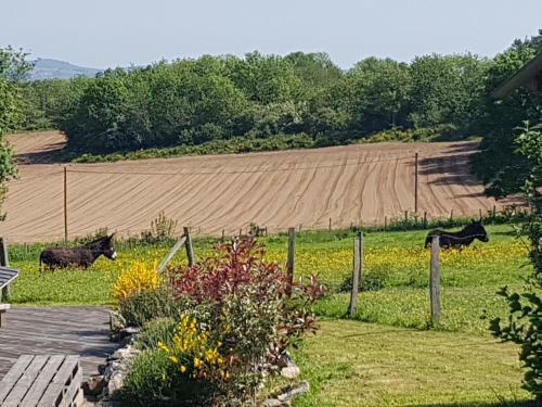 Bed & Breakfast Chambres Et Table D'h�tes Il Fut Un Temps...