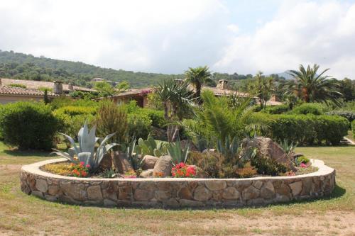Playa Del Oro