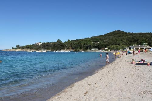 Playa Del Oro