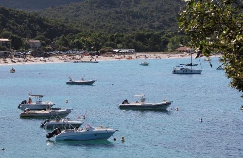 Playa Del Oro