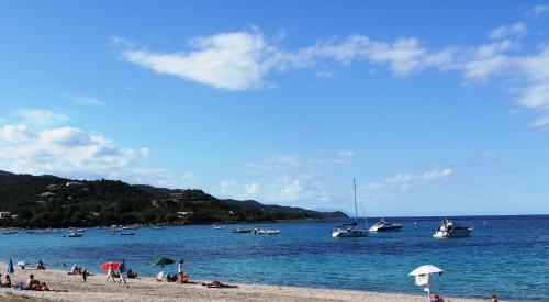 Playa Del Oro