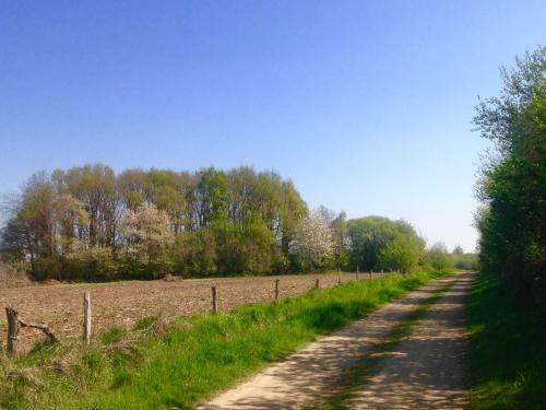 Bed & Breakfast La Maison D'am�lie