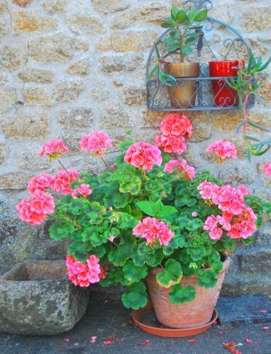 Bed & Breakfast La Maison D'am�lie