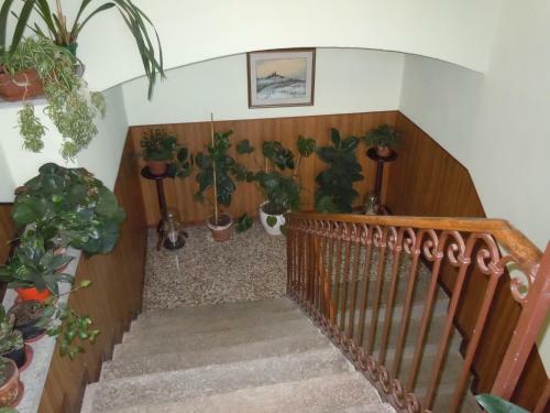 Apartamento Il Nocciolo