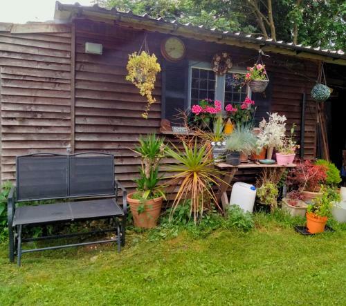 Elderflower Cottage 3 Private Acres And Miles Walks