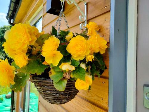 Elderflower Cottage 3 Private Acres And Miles Walks