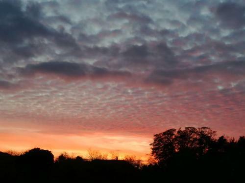 Elderflower Cottage 3 Private Acres And Miles Walks