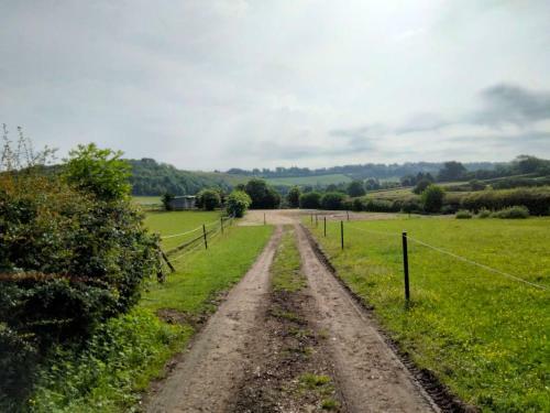 Elderflower Cottage 3 Private Acres And Miles Walks