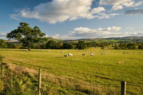 Cardross Holiday Cottages