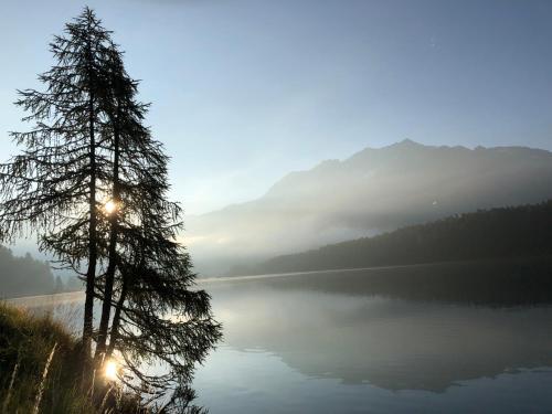 Apartamento Ferienwohnung Pontresina - Chesa Andrea - Gartensitzplatz