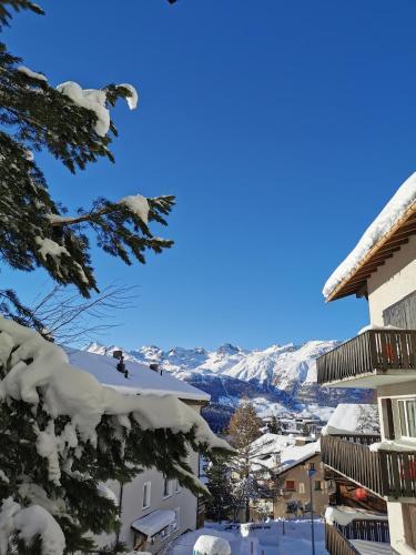 Apartamento Ferienwohnung Pontresina - Chesa Andrea - Gartensitzplatz