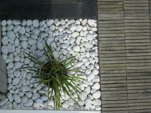Hotel Garden