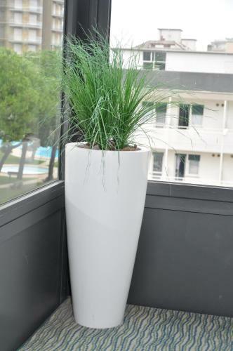 Hotel Garden