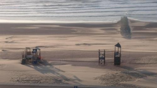 Studio Apartment 'de Strandwandeling' With Frontal Sea View Near Ostend