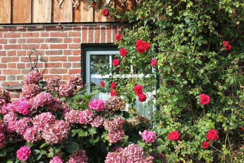 Apartamento Ferienvermietung Meerlandliebe
