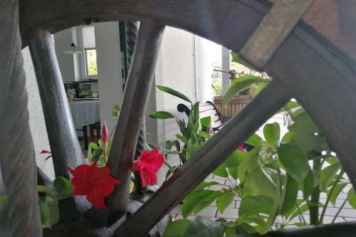 Apartamento Villa Hinterland