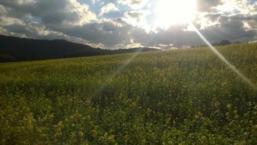 Blick In Die S�deifel