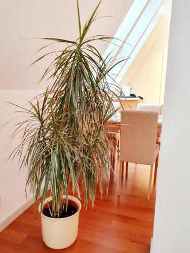 Apartamento Zentrales Dachgeschoss-apartment Bielefeld