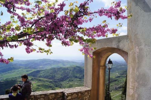Hotel Citt� Del Sole