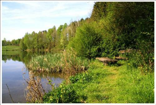 Apartamento Feriendorf Freilingen 151 A