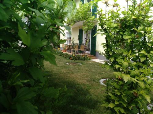 Apartamento Kakteengarten