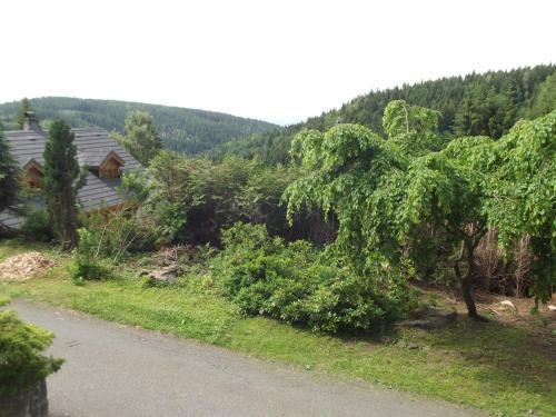 Lodge Chata S V�hledem