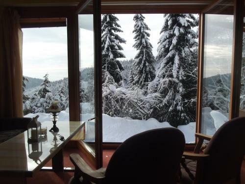 Lodge Chata S V�hledem