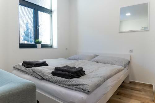 Apartm�n Seifertova