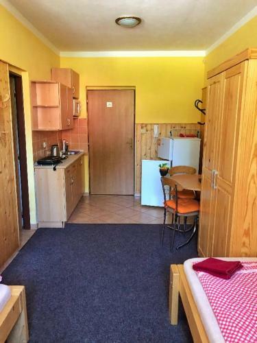 Apartm�ny U ?v�carsk�ho Dvora