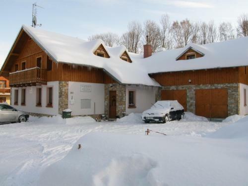 Apartm�ny U ?v�carsk�ho Dvora