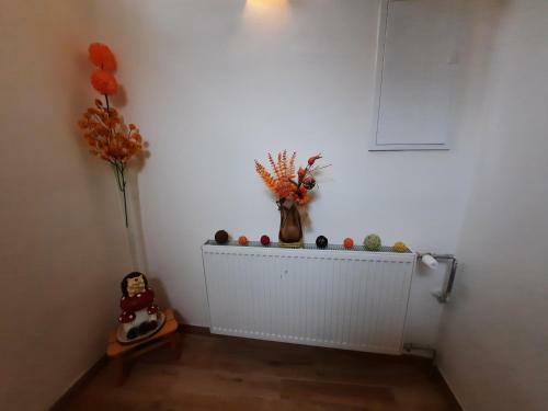 Apartm�ny U Sv. Anny