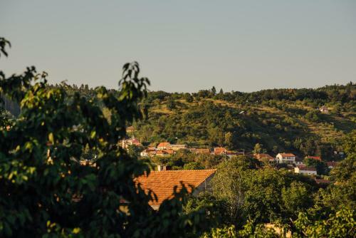 Apartm�n Pod Borovic�