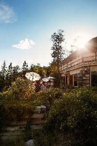 Hotel Juniper Inn - Standard