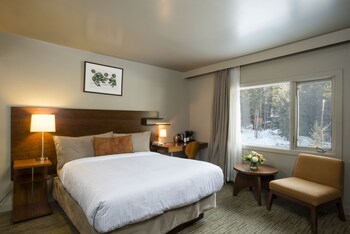 Hotel Juniper Inn - Standard