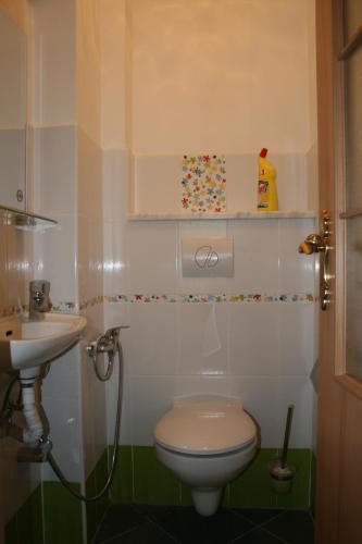 Apartment No. 22 Zeyerova 15
