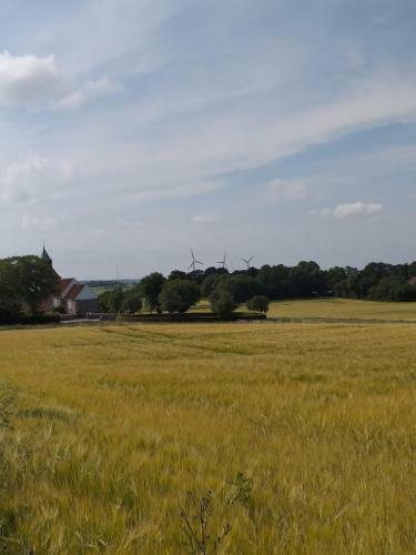 Solbjerg Skov B&B