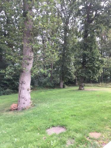 Apartamento Ro I Skoven - Men T�t P� Byen