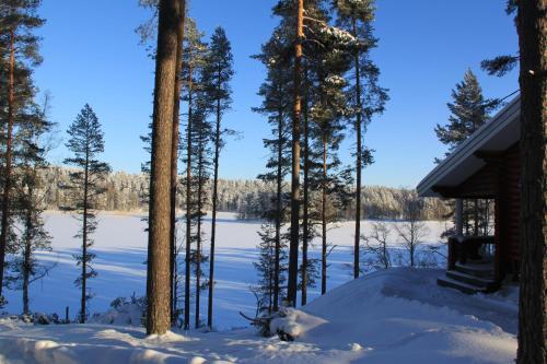 Pankkotupa 16-b